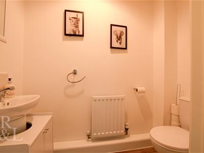 Picture 15